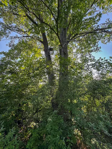 $996,000 | 1609 South Sage Lake Road, Hale, MI 48739