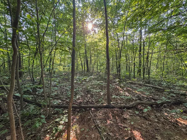 $996,000 | 1609 South Sage Lake Road, Hale, MI 48739