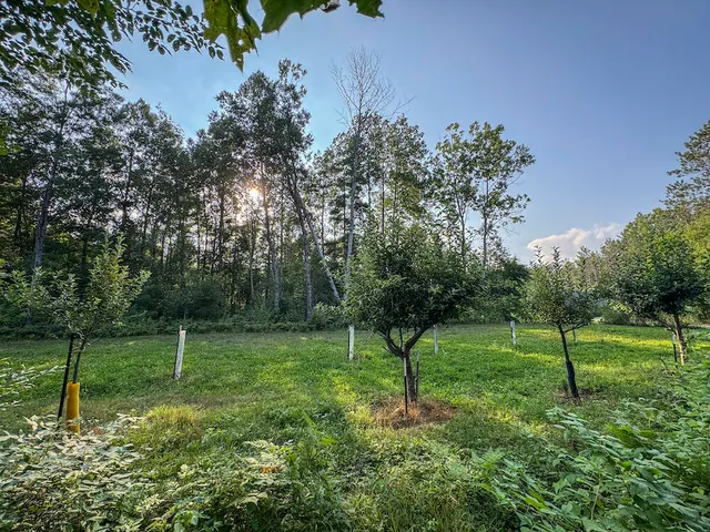 $996,000 | 1609 South Sage Lake Road, Hale, MI 48739