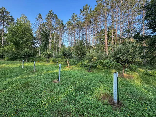 $996,000 | 1609 South Sage Lake Road, Hale, MI 48739