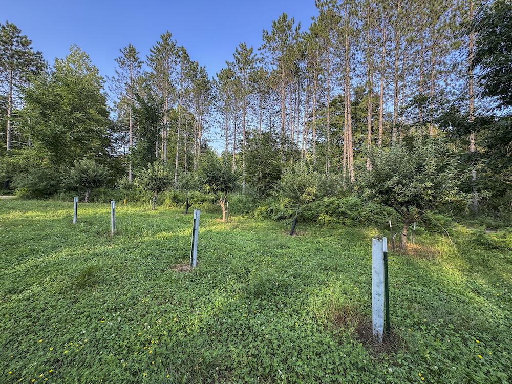 1609 South Sage Lake Road Hale, MI 48739 - Photo 98 of 164 Hale Property-4493