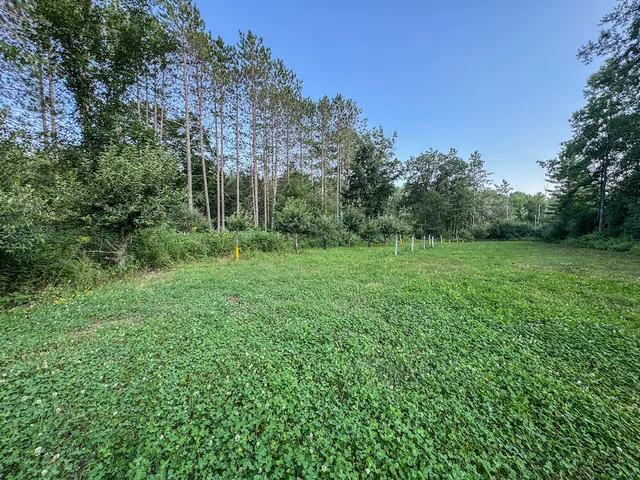 $996,000 | 1609 South Sage Lake Road, Hale, MI 48739