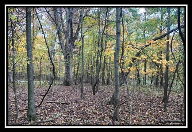 1616 Hogback Road Sunbury, OH 43074 - Photo 13 of 41 Gallery Image 13
