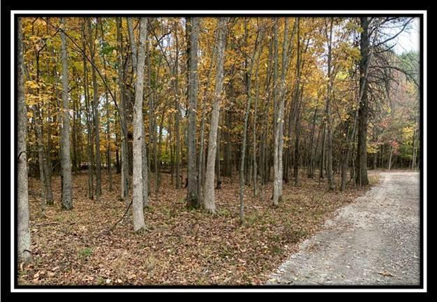 1616 Hogback Road Sunbury, OH 43074 - Photo 15 of 41 Gallery Image 15