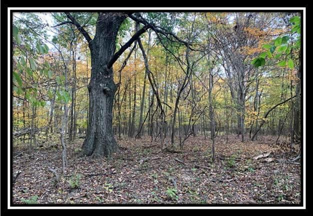 1616 Hogback Road Sunbury, OH 43074 - Photo 2 of 41 Gallery Image 2