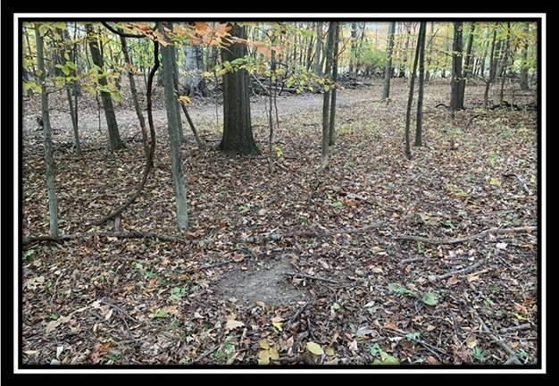 1616 Hogback Road Sunbury, OH 43074 - Photo 22 of 41 Gallery Image 22