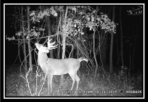 1616 Hogback Road Sunbury, OH 43074 - Photo 23 of 41 Gallery Image 23