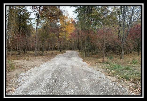 1616 Hogback Road Sunbury, OH 43074 - Photo 30 of 41 Gallery Image 30