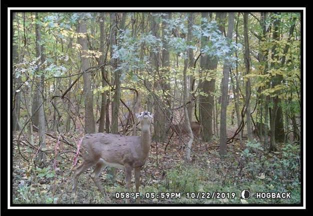 1616 Hogback Road Sunbury, OH 43074 - Photo 33 of 41 Gallery Image 33