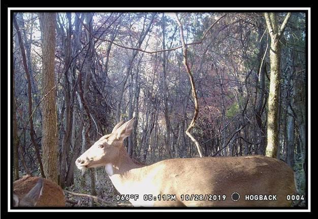 1616 Hogback Road Sunbury, OH 43074 - Photo 38 of 41 Gallery Image 38