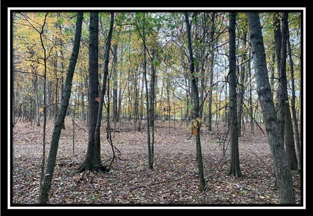 1616 Hogback Road Sunbury, OH 43074 - Photo 7 of 41 Gallery Image 7