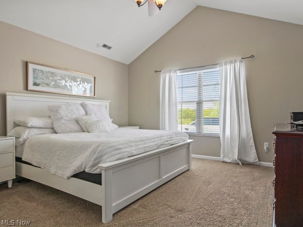 9151 Springfield Road, Unit 1201 Youngstown, OH 44514 - Photo 12 of 22 Bedroom featuring high vaulted ceiling and carpet flooring