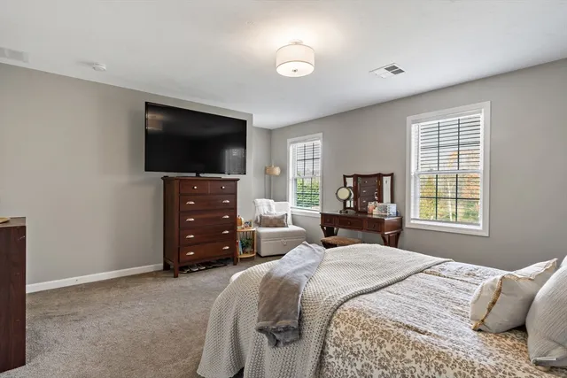 a bedroom with a bed and a television