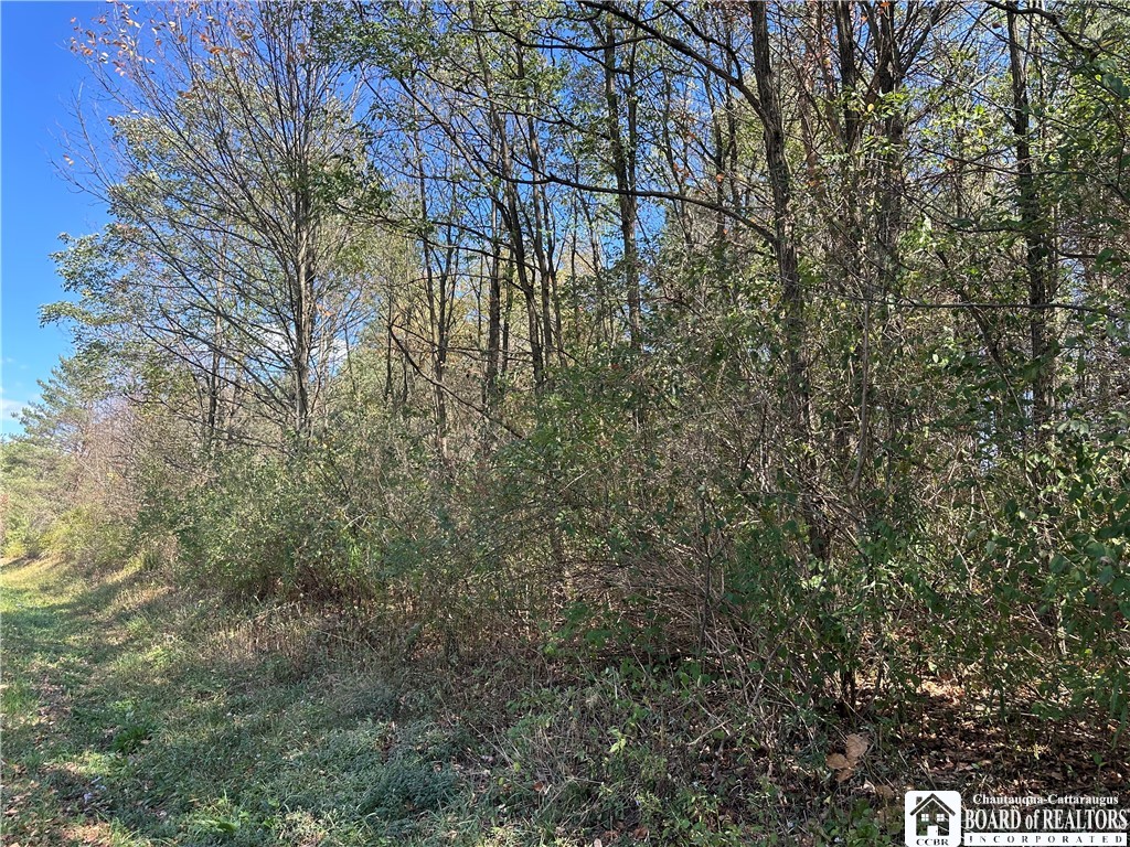 Prill Road West Valley, NY 14171 - Photo 5 of 8