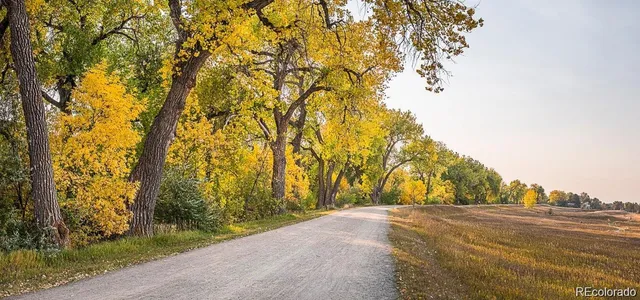 a view of a lake with a yard and large trees