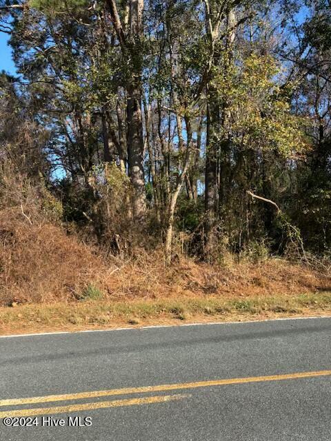 249 Ottis Miller Road Beulaville, NC 28518 - Photo 18 of 18 tempImagez1F50k