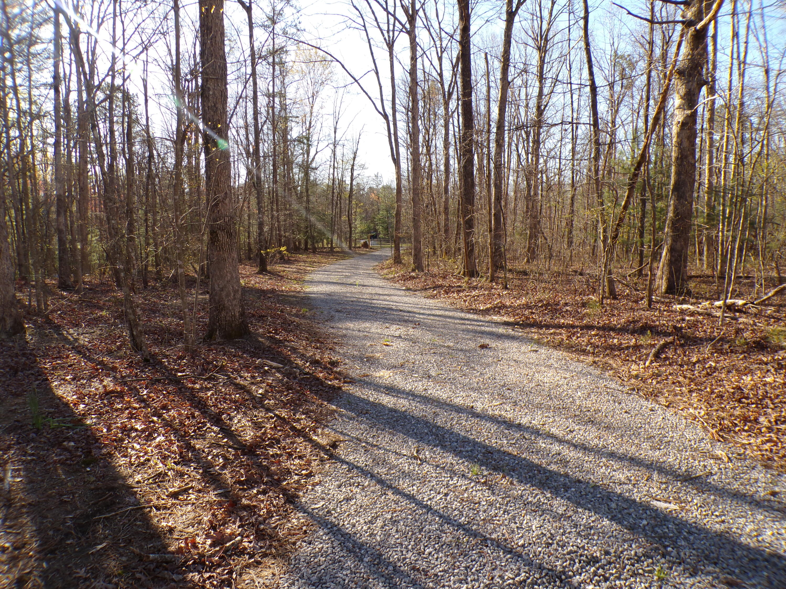815 Lou Road, Unit 104 Pikeville, TN 37367 - Photo 54 of 60 100_0157