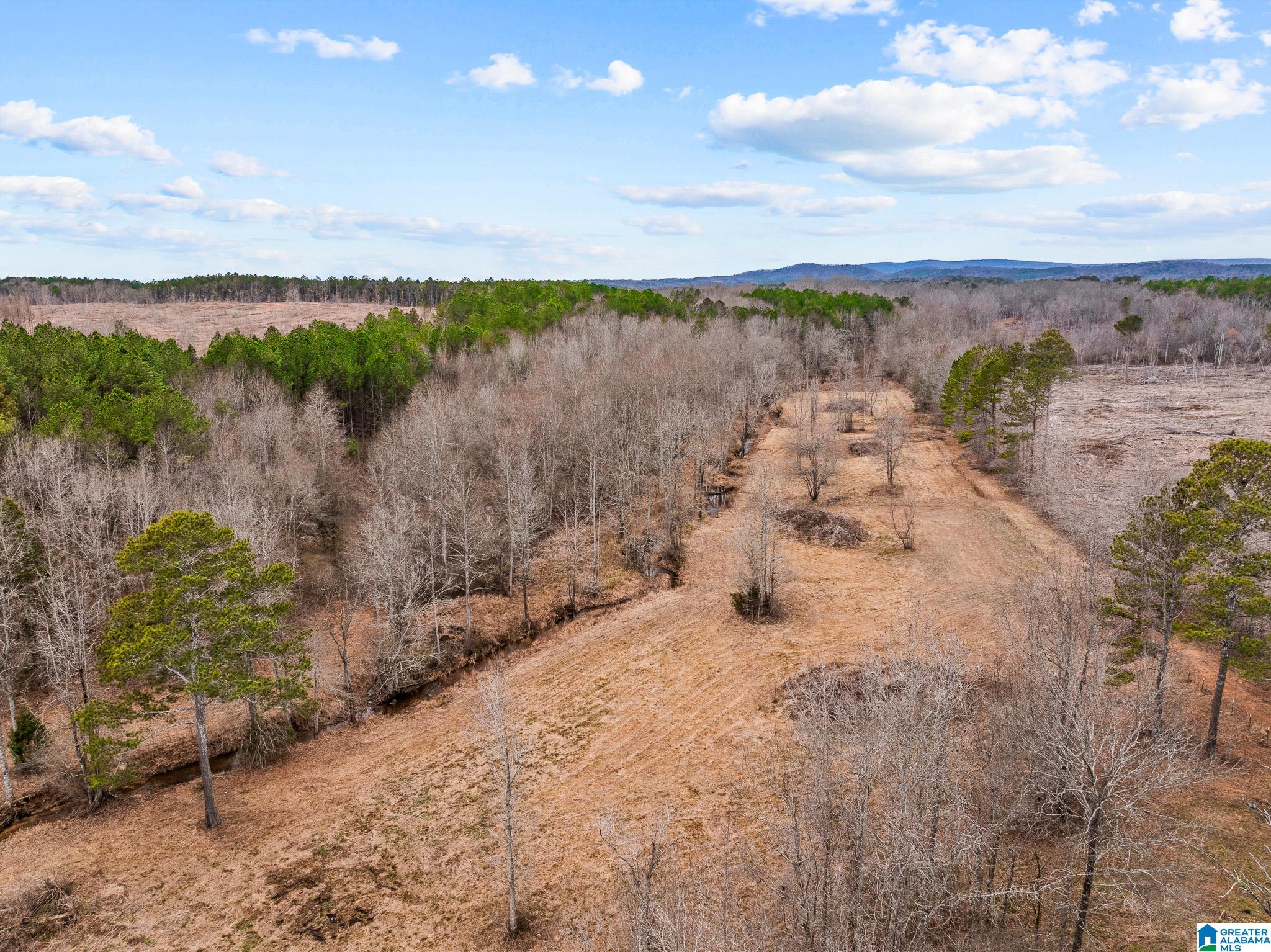 2885 McKay Road Delta, AL 36258 - Photo 52 of 56