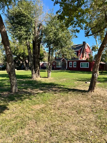 a view of a park with large trees