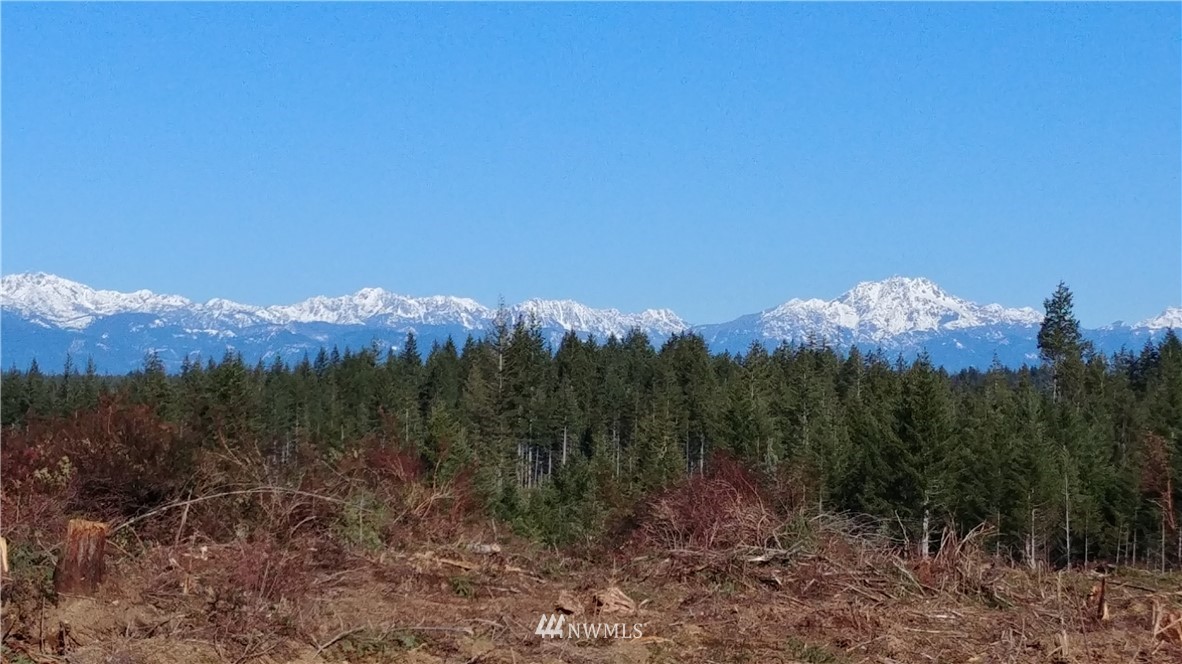 -lot3 Lot3 Benson Ridge Road Grapeview, WA 98546 - Photo 1 of 2 Gallery Image 1