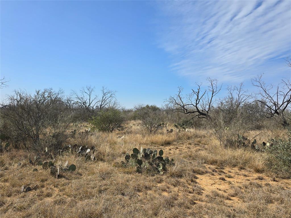 10315 Farm To Market 45 Rochelle, TX 76872 - Photo 11 of 40