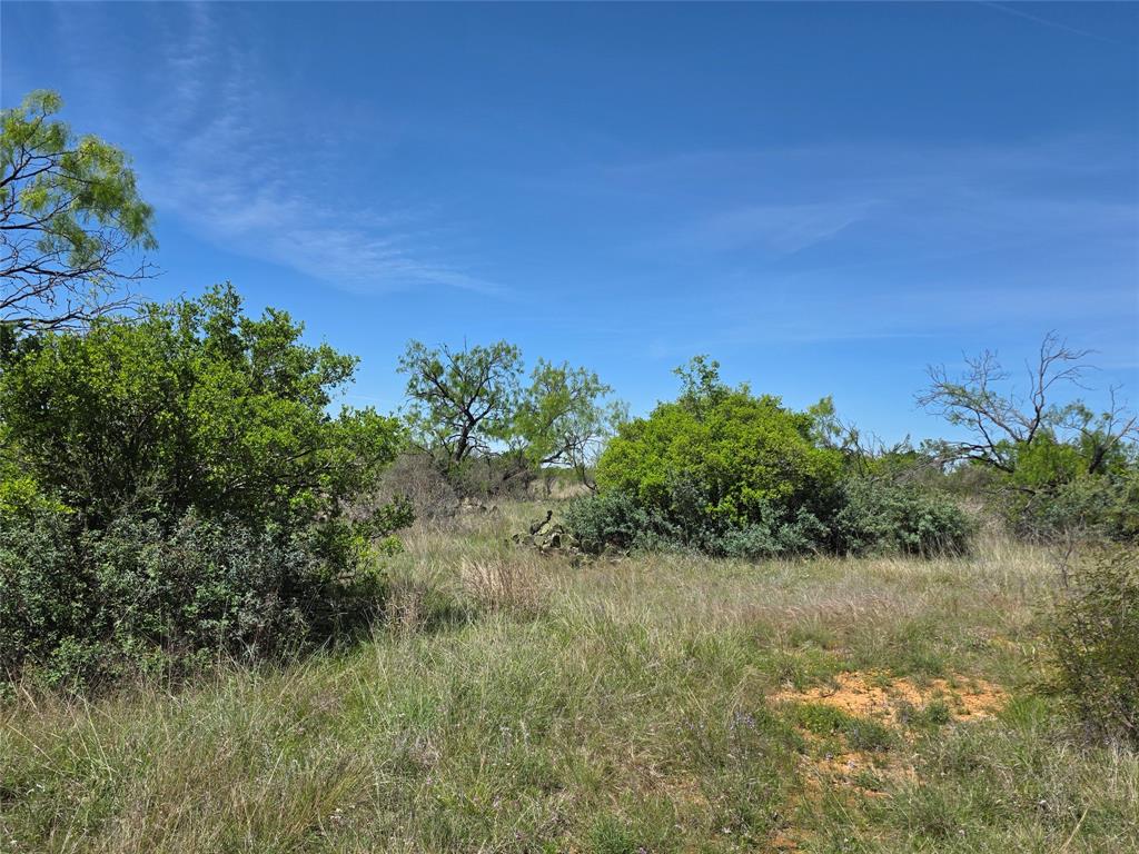 10315 Farm To Market 45 Rochelle, TX 76872 - Photo 12 of 40 a view of a yard