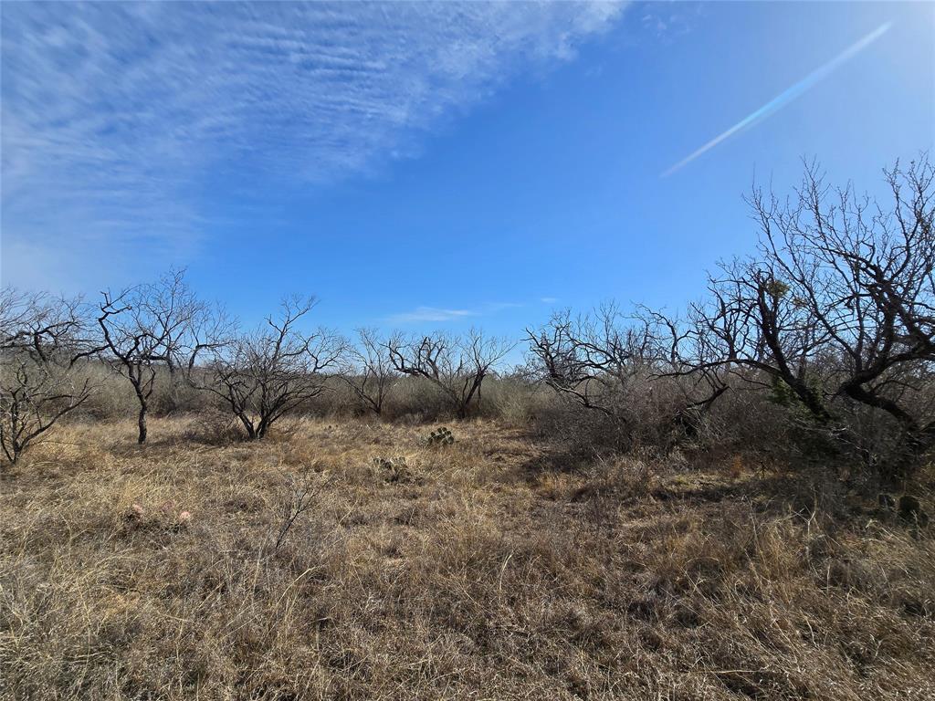 10315 Farm To Market 45 Rochelle, TX 76872 - Photo 12 of 40