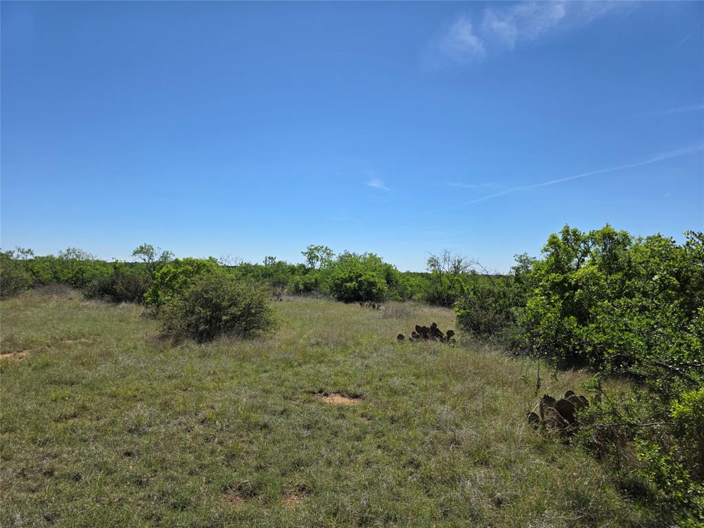 10315 Farm To Market 45 Rochelle, TX 76872 - Photo 13 of 40 a view of a field with trees in background