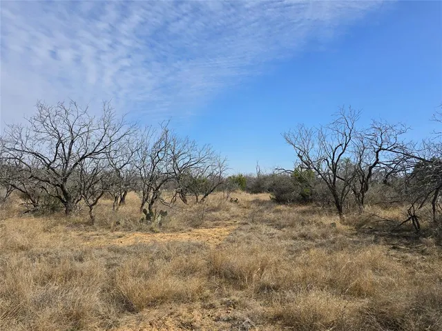 $392,875 | 10315 Farm To Market 45, Rochelle, TX 76872