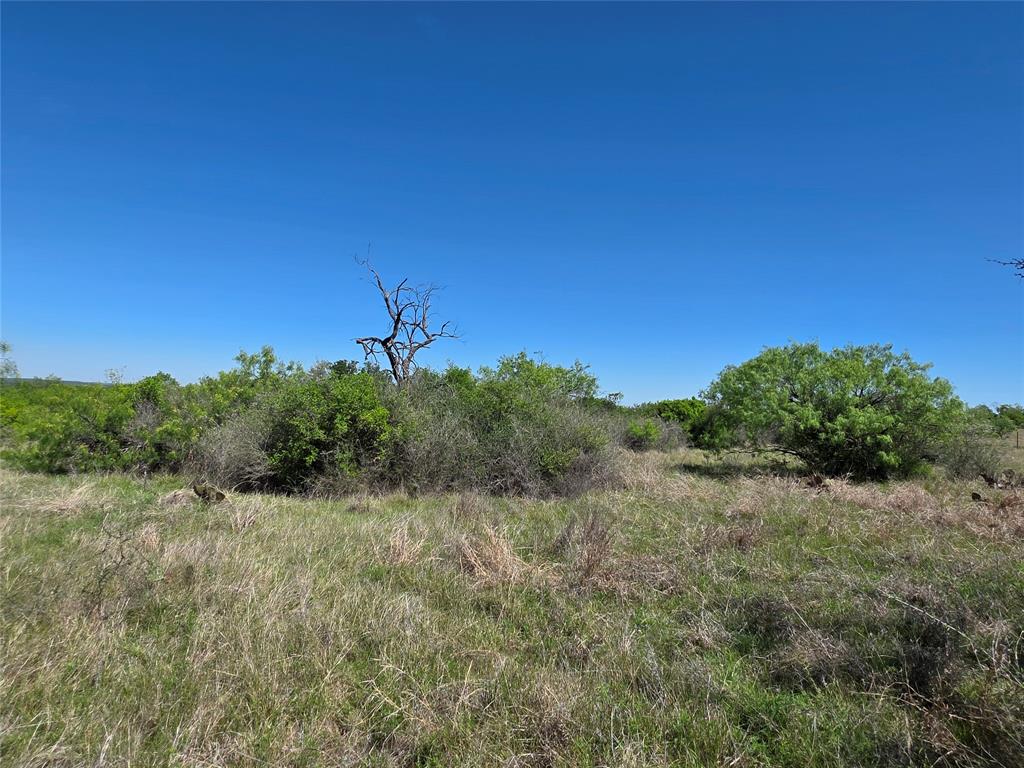 10315 Farm To Market 45 Rochelle, TX 76872 - Photo 15 of 40 a view of a field with a tree in the background