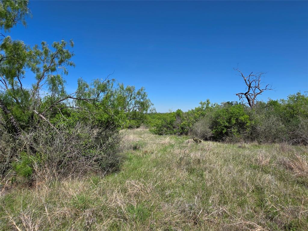 10315 Farm To Market 45 Rochelle, TX 76872 - Photo 16 of 40 a view of a field