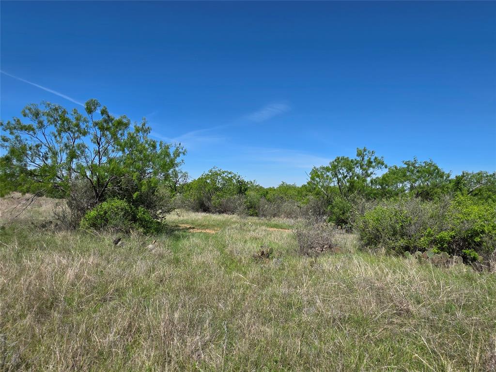 10315 Farm To Market 45 Rochelle, TX 76872 - Photo 17 of 40 a view of a field of grass and trees