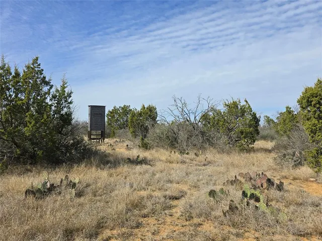 $392,875 | 10315 Farm To Market 45, Rochelle, TX 76872