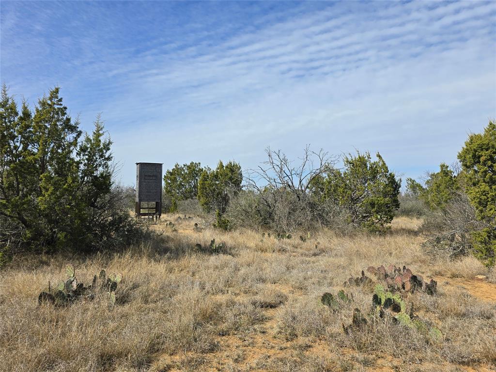 10315 Farm To Market 45 Rochelle, TX 76872 - Photo 18 of 40