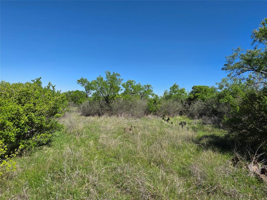 10315 Farm To Market 45 Rochelle, TX 76872 - Photo 18 of 40 a view of a field of grass and trees
