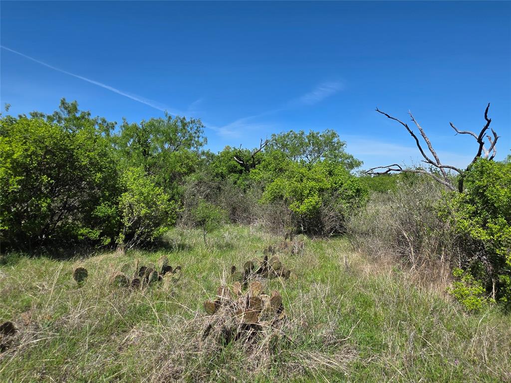 10315 Farm To Market 45 Rochelle, TX 76872 - Photo 19 of 40 a view of a field