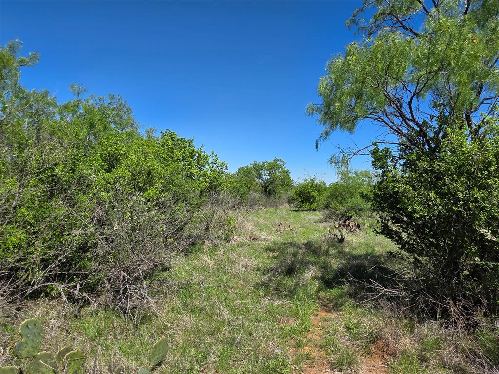 10315 Farm To Market 45 Rochelle, TX 76872 - Photo 20 of 40