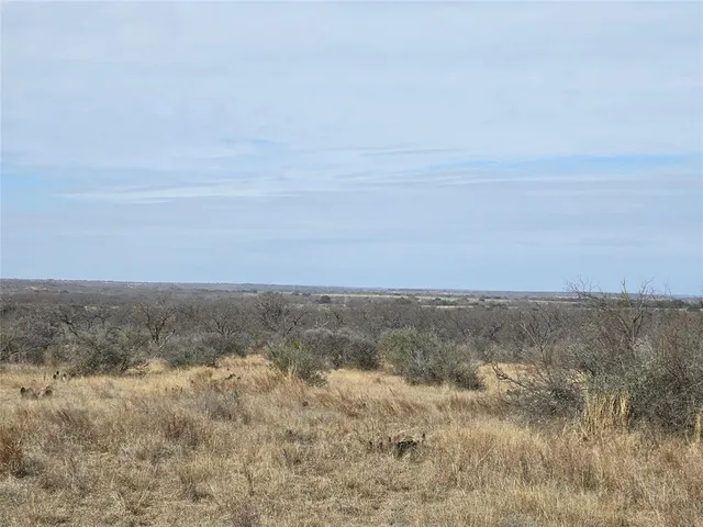 $392,875 | 10315 Farm To Market 45, Rochelle, TX 76872