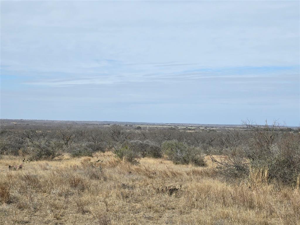 10315 Farm To Market 45 Rochelle, TX 76872 - Photo 2 of 40