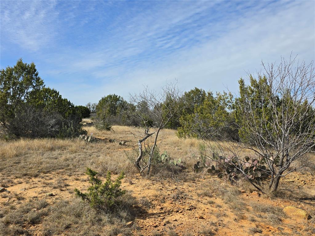 10315 Farm To Market 45 Rochelle, TX 76872 - Photo 21 of 40