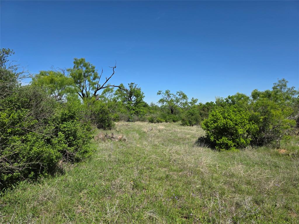 10315 Farm To Market 45 Rochelle, TX 76872 - Photo 22 of 40 a view of a lush green space