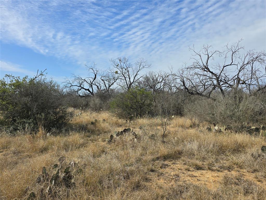10315 Farm To Market 45 Rochelle, TX 76872 - Photo 23 of 40