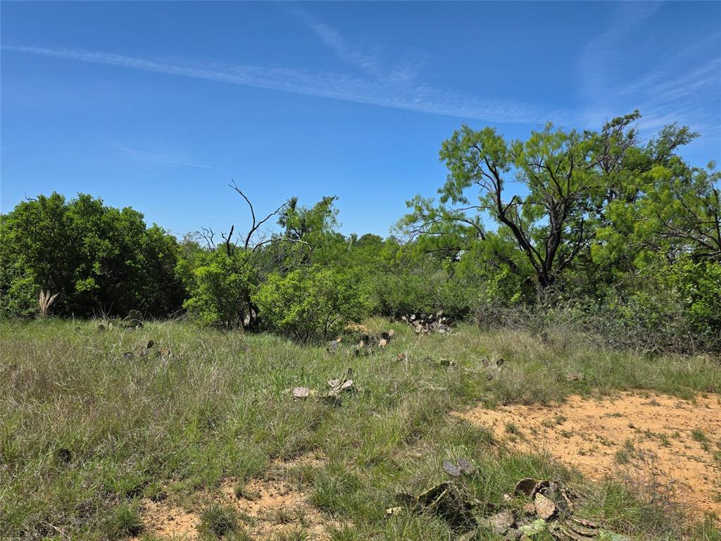 10315 Farm To Market 45 Rochelle, TX 76872 - Photo 23 of 40 a view of a lush green field