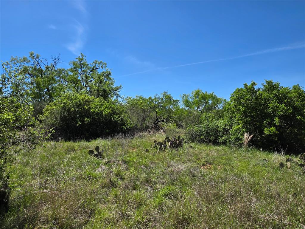 10315 Farm To Market 45 Rochelle, TX 76872 - Photo 24 of 40