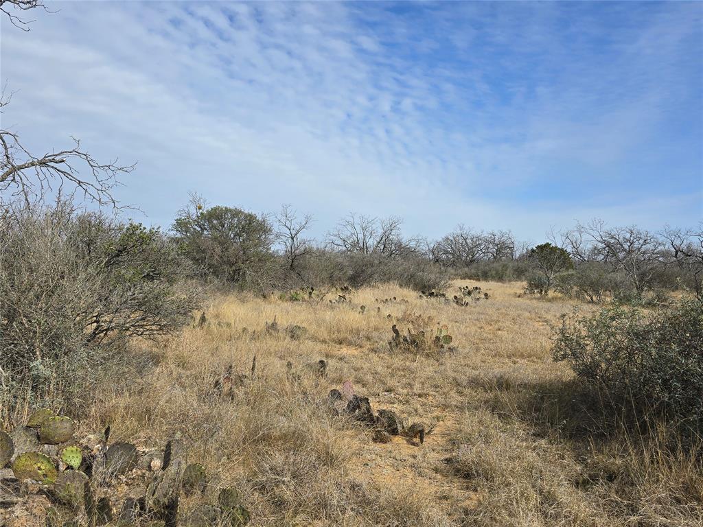 10315 Farm To Market 45 Rochelle, TX 76872 - Photo 24 of 40