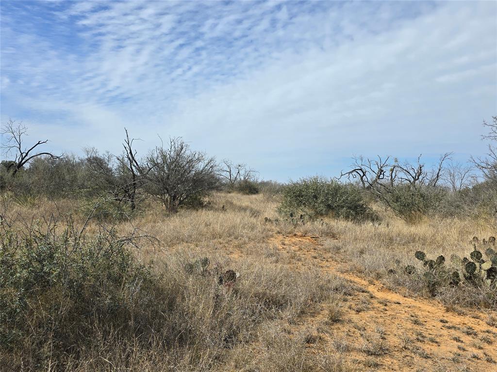10315 Farm To Market 45 Rochelle, TX 76872 - Photo 25 of 40