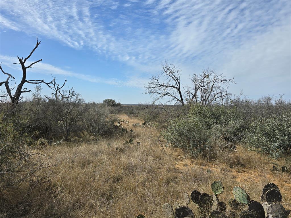 10315 Farm To Market 45 Rochelle, TX 76872 - Photo 26 of 40
