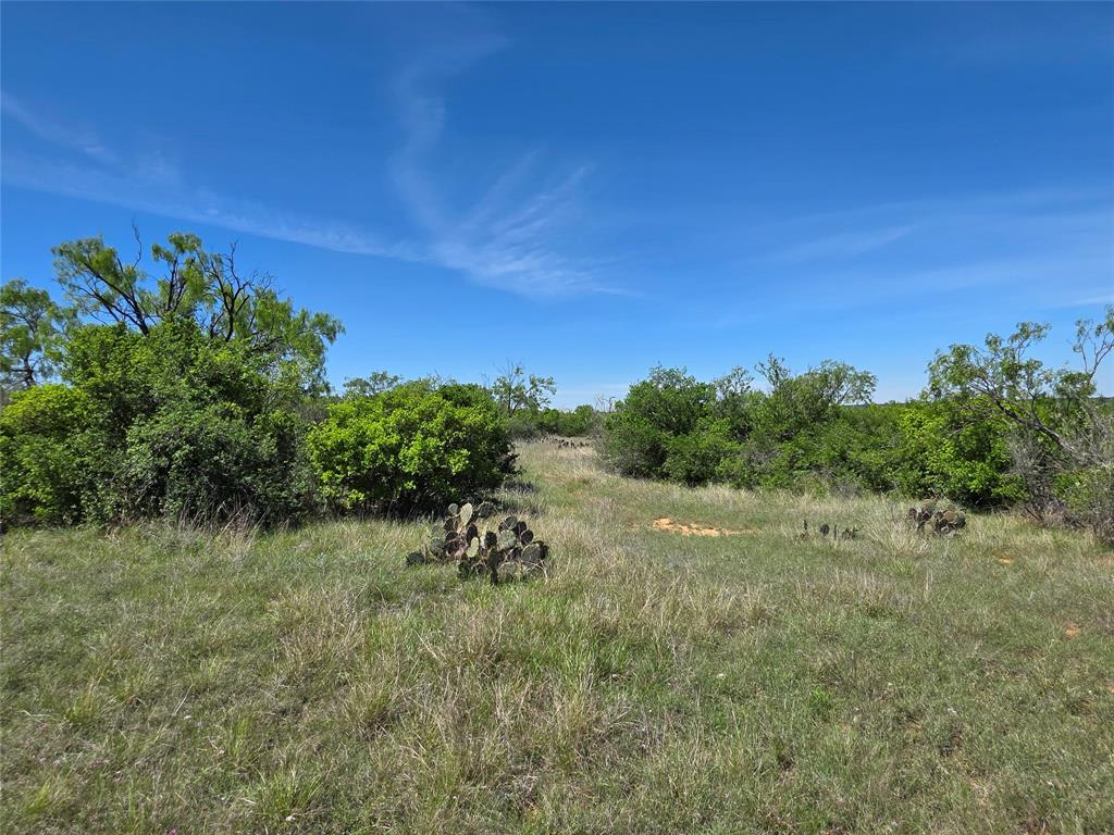 10315 Farm To Market 45 Rochelle, TX 76872 - Photo 26 of 40 a view of a yard with a tree