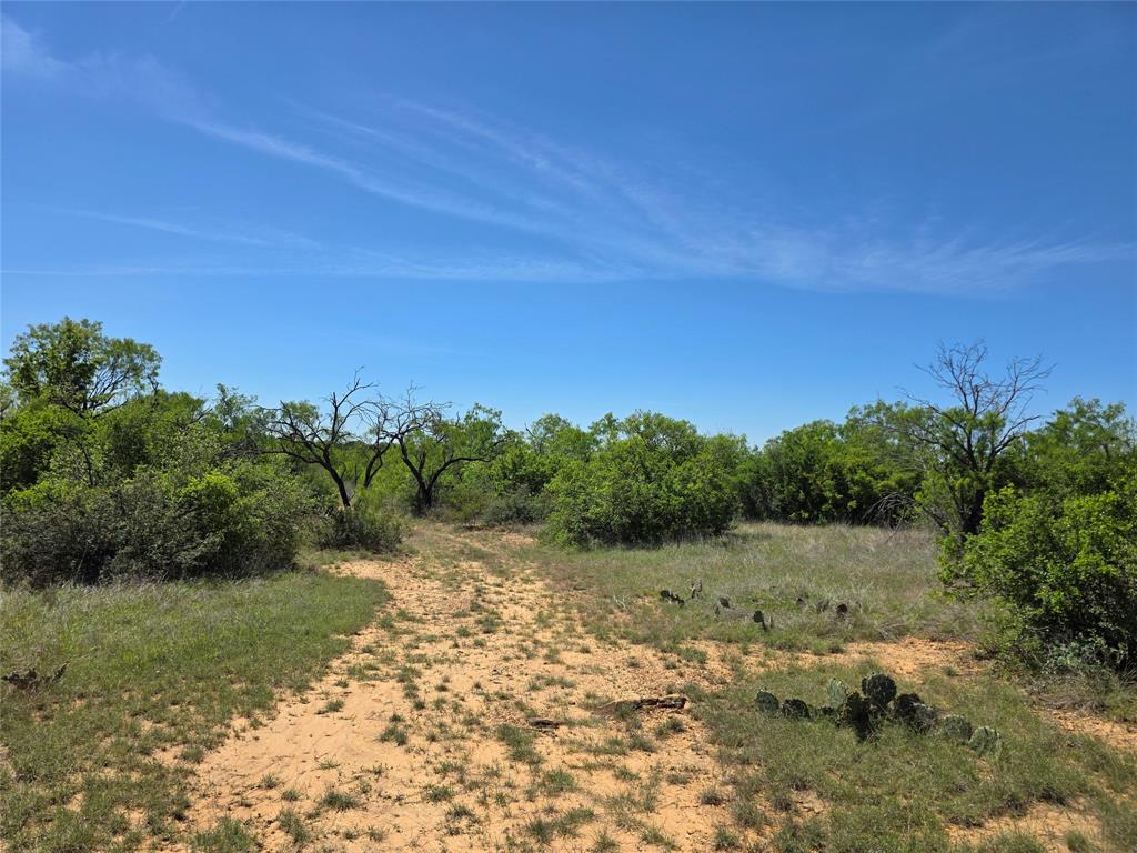 10315 Farm To Market 45 Rochelle, TX 76872 - Photo 27 of 40 a view of a road with a yard