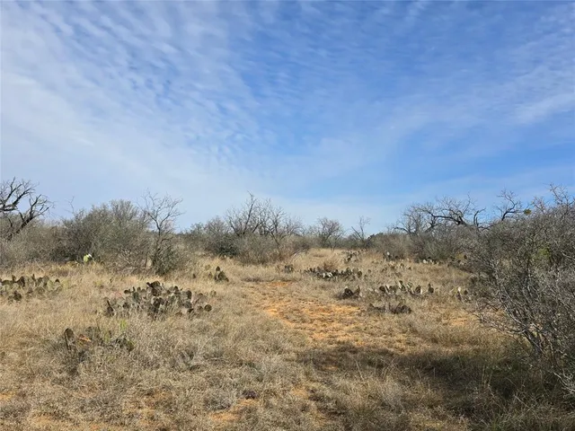 $392,875 | 10315 Farm To Market 45, Rochelle, TX 76872